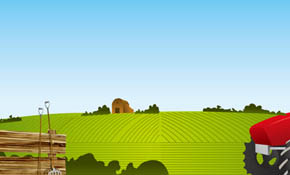 Farm Landscape